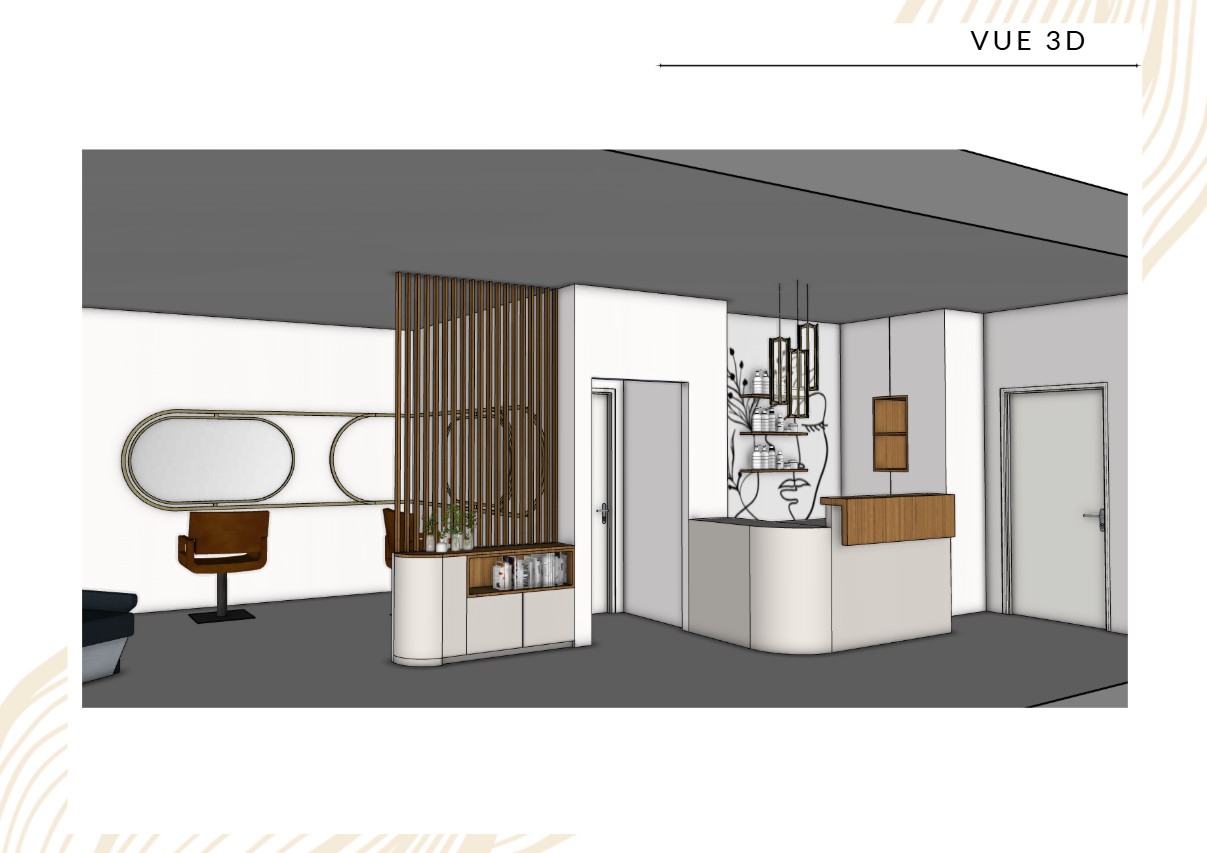Vue 3D d'ensemble — circulation entre accueil et zone coiffure