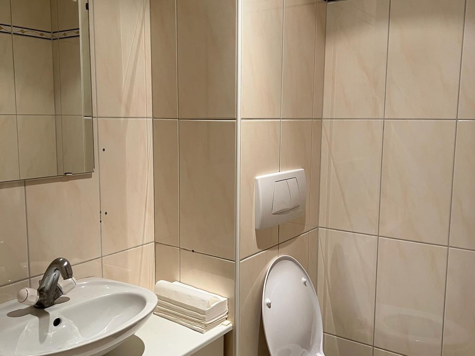 Avant chantier — sanitaire d'origine, faïence beige et mobilier vieillissant
